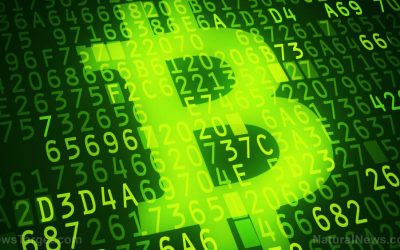 Digital Tyranny: Beware of the Government’s Push for a Digital Currency
