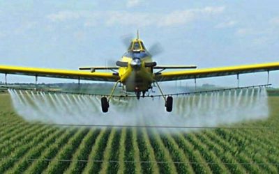 SHOCKER: True history and corruption of processed vegetable oils   