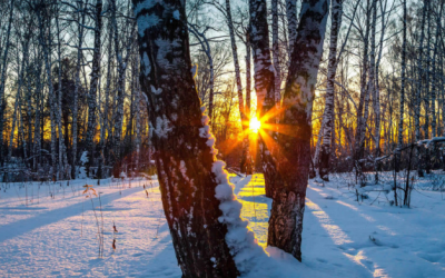 ACTIVATING THE POWER OF LIFE