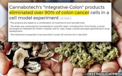 Researchers Discover Cannabis-Mushroom Combination that ‘Kills Over 90% of Colon Cancer Cells’