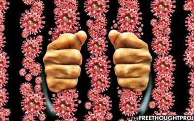 New Study Provides Yet More Evidence That COVID Lockdowns Were a Tyrannical Catastrophe
