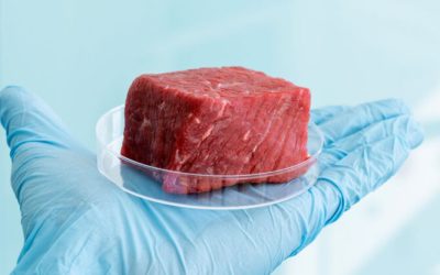 ‘Farm-Free’ Lab Food Is Catastrophic for Human Health and the Environment