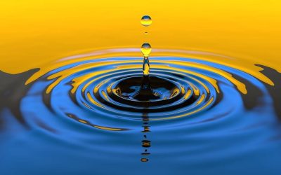 The Consequence of Consciousness By IAM SAUMS