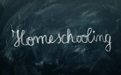 Home schooling: here’s what our masters say.   And you’d better pay attention.