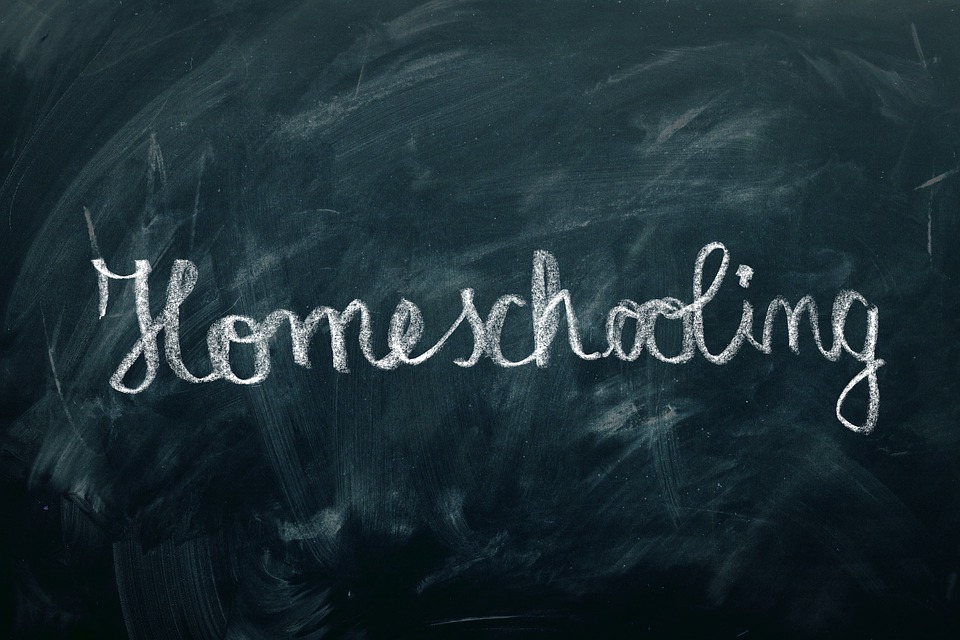 Home schooling: here’s what our masters say.   And you’d better pay attention.