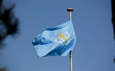 The World Health Order (WHO) and the “Global Pandemic Treaty”: The Back Door to “Global Tyranny”