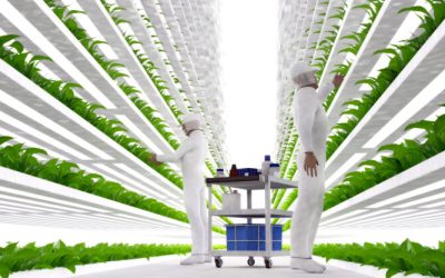 Globalists Are Taking Over the Food System — It’s Part of Their Plan to Control You
