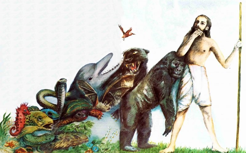 Giving Up Darwin: A Fond Farewell To A Brilliant & Beautiful Theory
