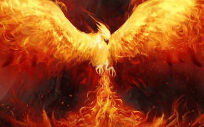 Phoenix Rising (Part 1)