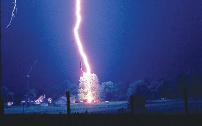 Transformed by Lightning: Real Life Stories