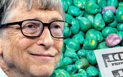 Bill Gates’ ‘Magic Seeds’ Won’t Solve World Hunger But Will ‘Create Ecological Disaster’