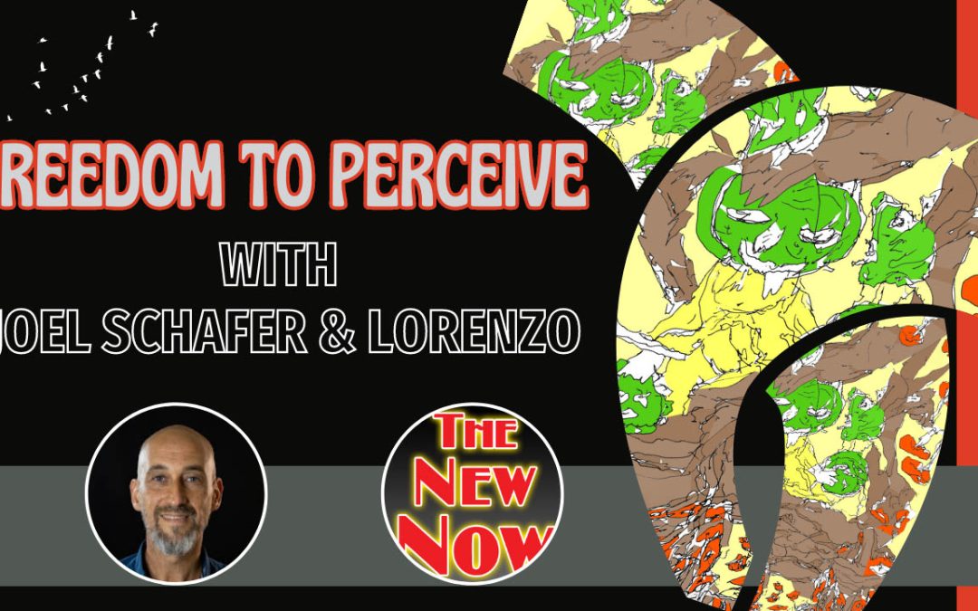 The Freedom to Perceive with Joel and Lorenzo