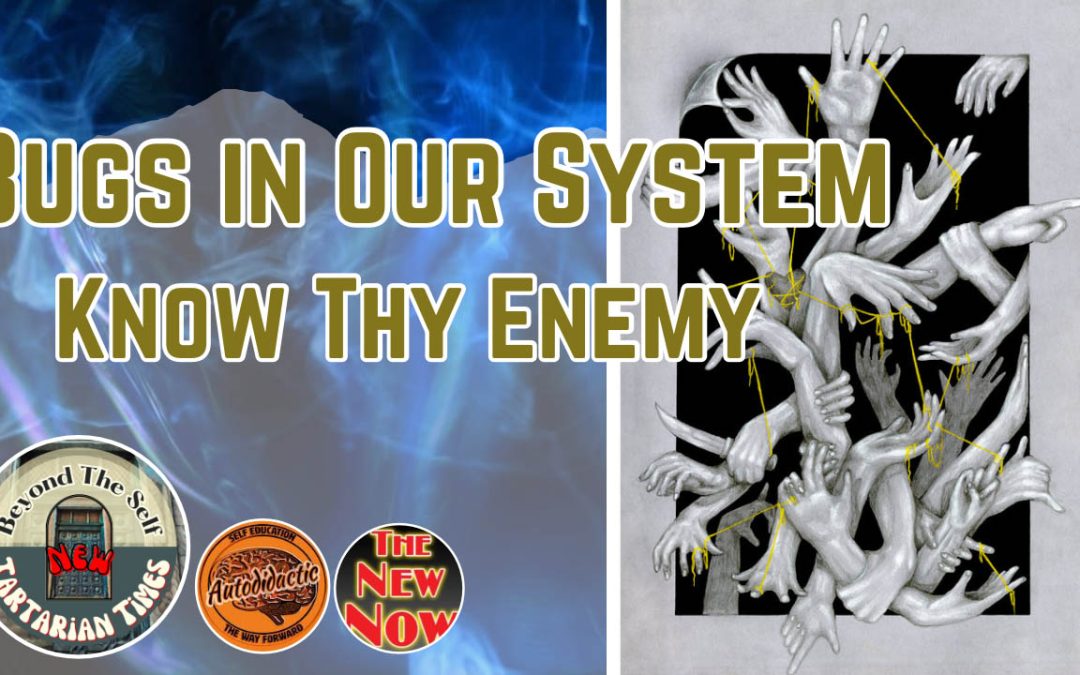 Bugs in OUR System – Know thy Enemy