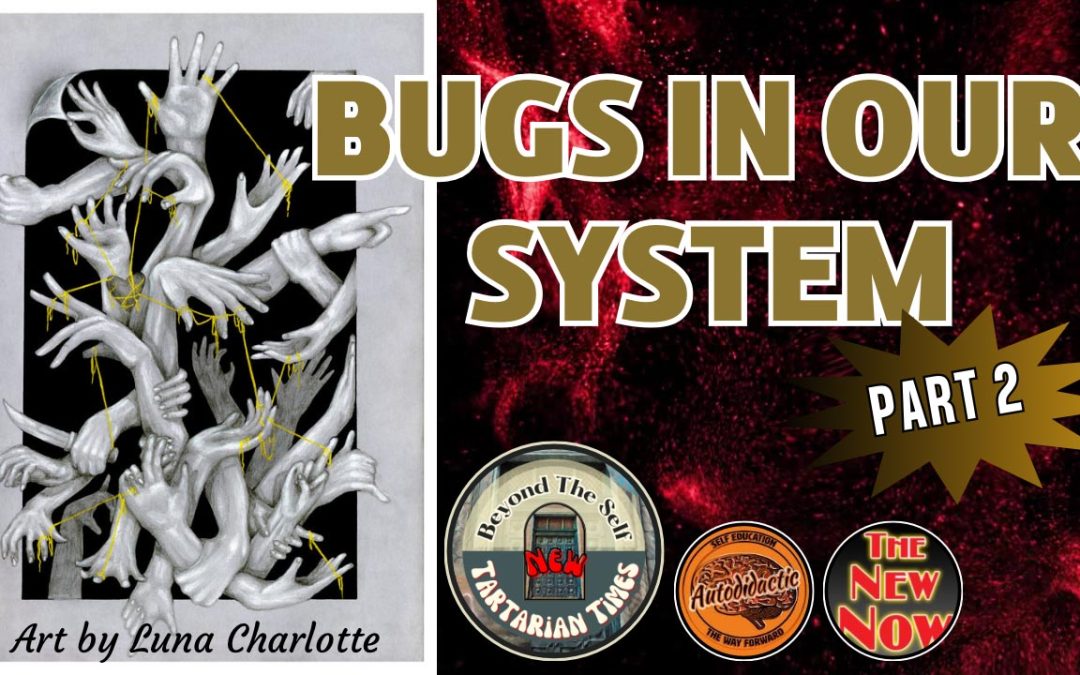 De-Bugging the Mind – Bugs in Our System – 2