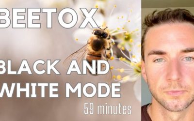 Beetox, bees, electricity, deprogramming, and black and white mode
