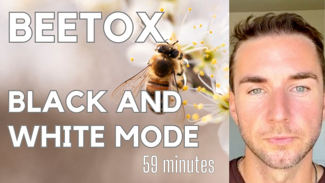 Beetox, bees, electricity, deprogramming, and black and white mode