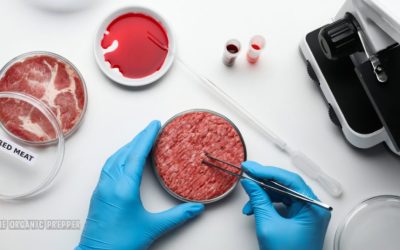 Lab-Grown “Meat” Is Coming to Stores and Restaurants Near You