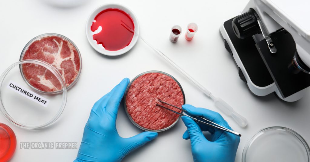 Lab-Grown “Meat” Is Coming to Stores and Restaurants Near You