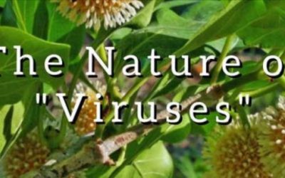 Inventing the Nature of “Viruses”