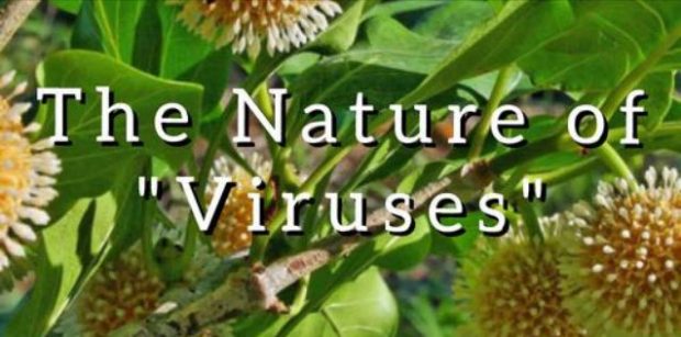 Inventing the Nature of “Viruses”