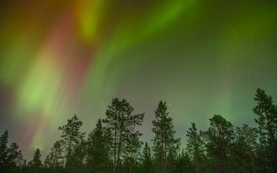Magic Above by Marcela Cruz-Gibbons