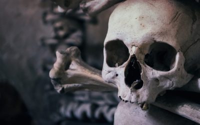 The Death of Critical Thinking